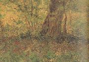 Vincent Van Gogh Undergrowth (nn04) oil painting picture wholesale
